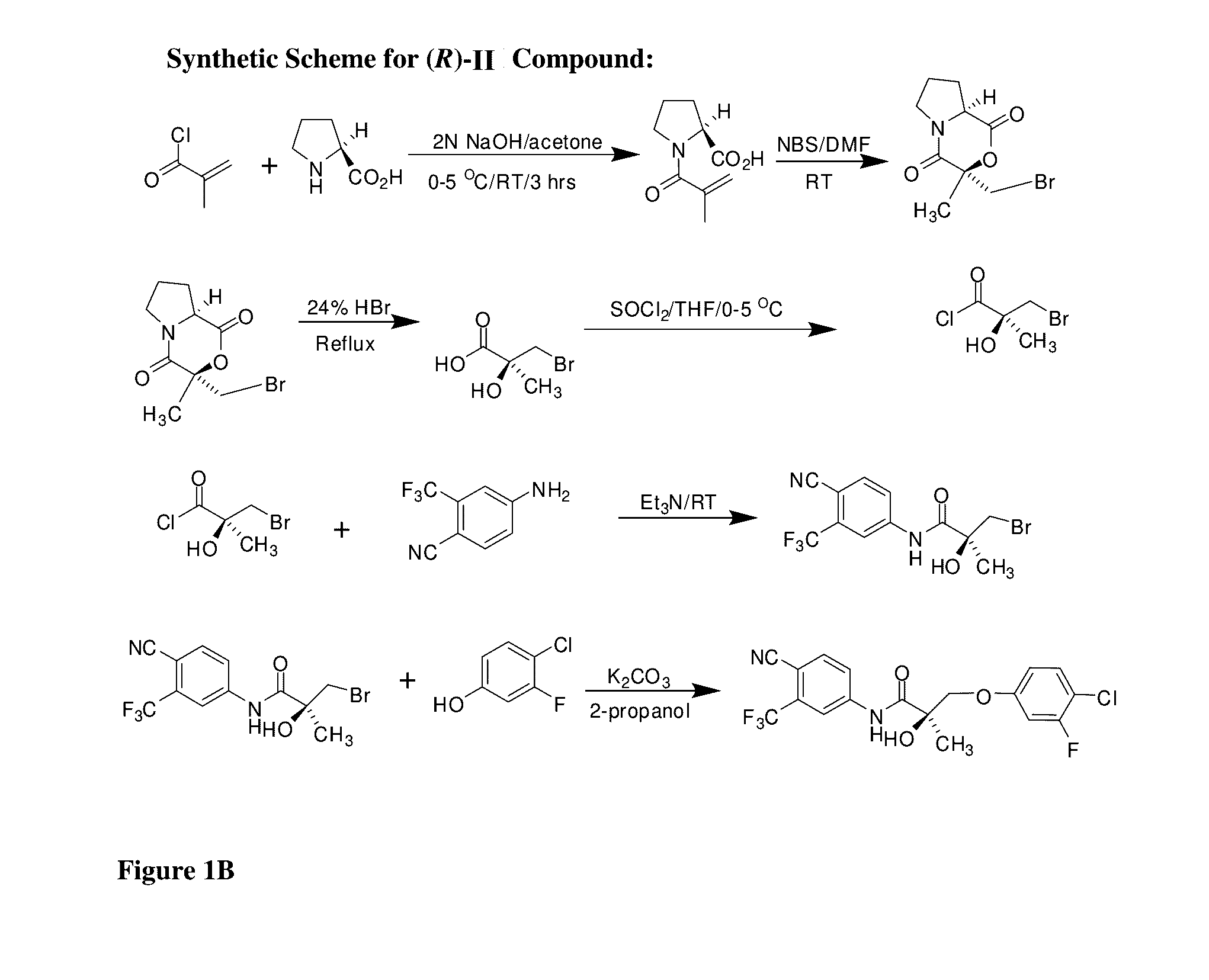 Sarms and method of use thereof