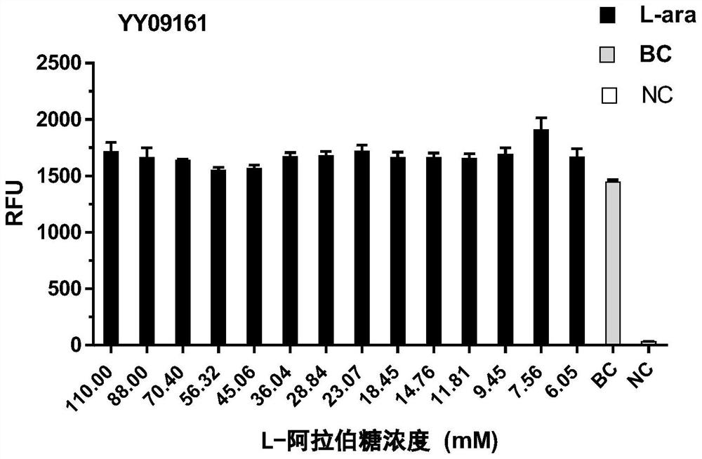 In-vitro cell-free protein synthesis system (D2P system) and kit and use thereof