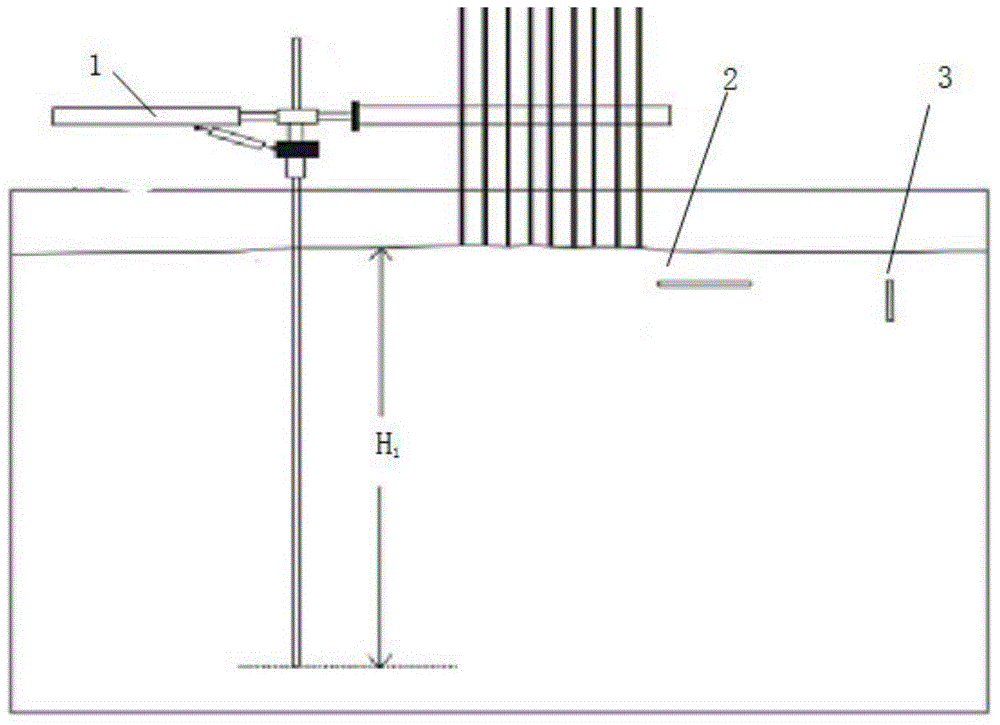 Coastal wetland surface elevation dynamic change and aggradation speed measurement method