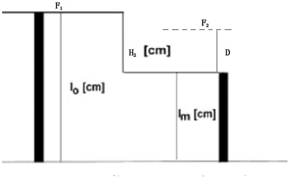 Coastal wetland surface elevation dynamic change and aggradation speed measurement method