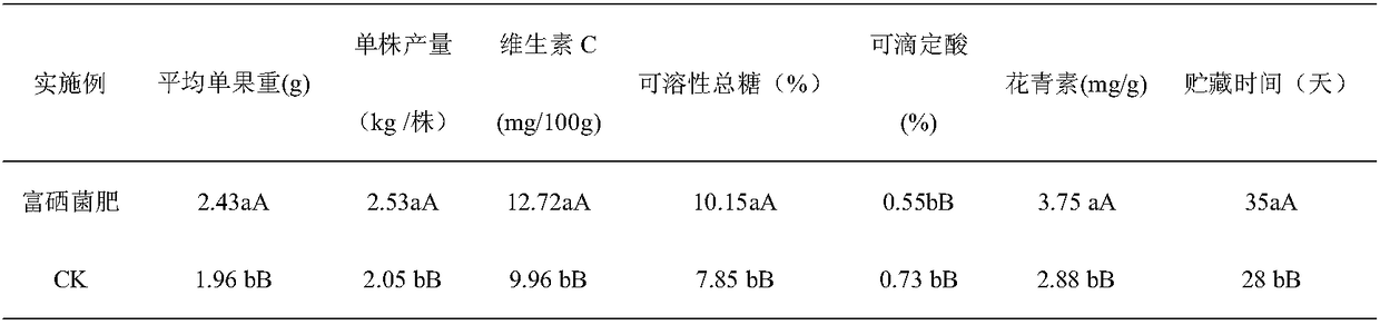 Selenium-enriched liquid bacterial fertilizer for blueberries as well as preparation method and application of selenium-enriched liquid bacterial fertilizer