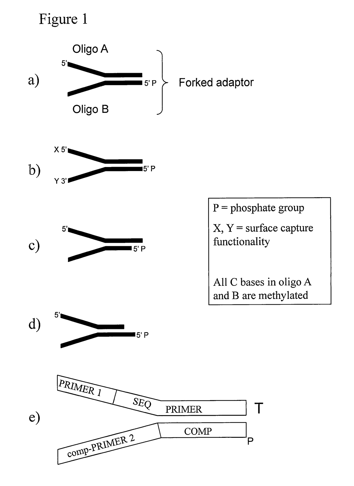 Preparation of templates for methylation analysis