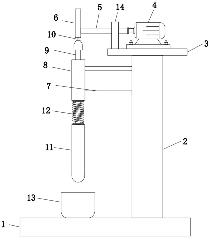 Preparation method of fiberized areca nuts