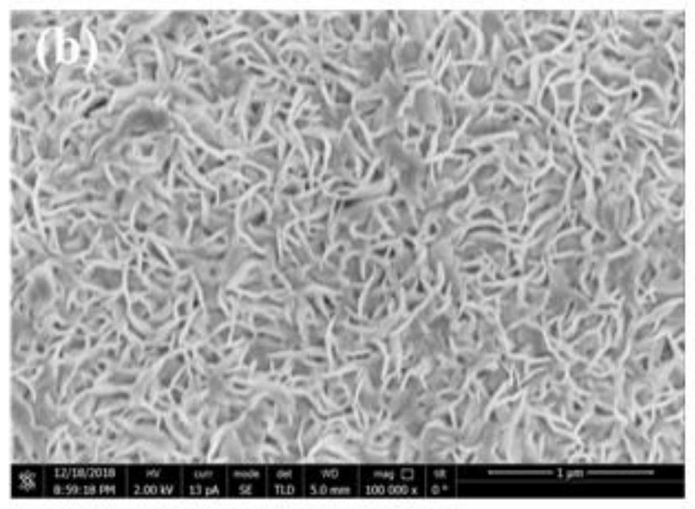 A cnfs load mos  <sub>2</sub> Magnesium-lithium double-salt battery cathode material and construction method thereof