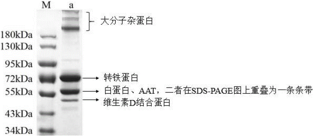 Method for purifying alpha1-antitrypsin from Cohn component IV precipitate