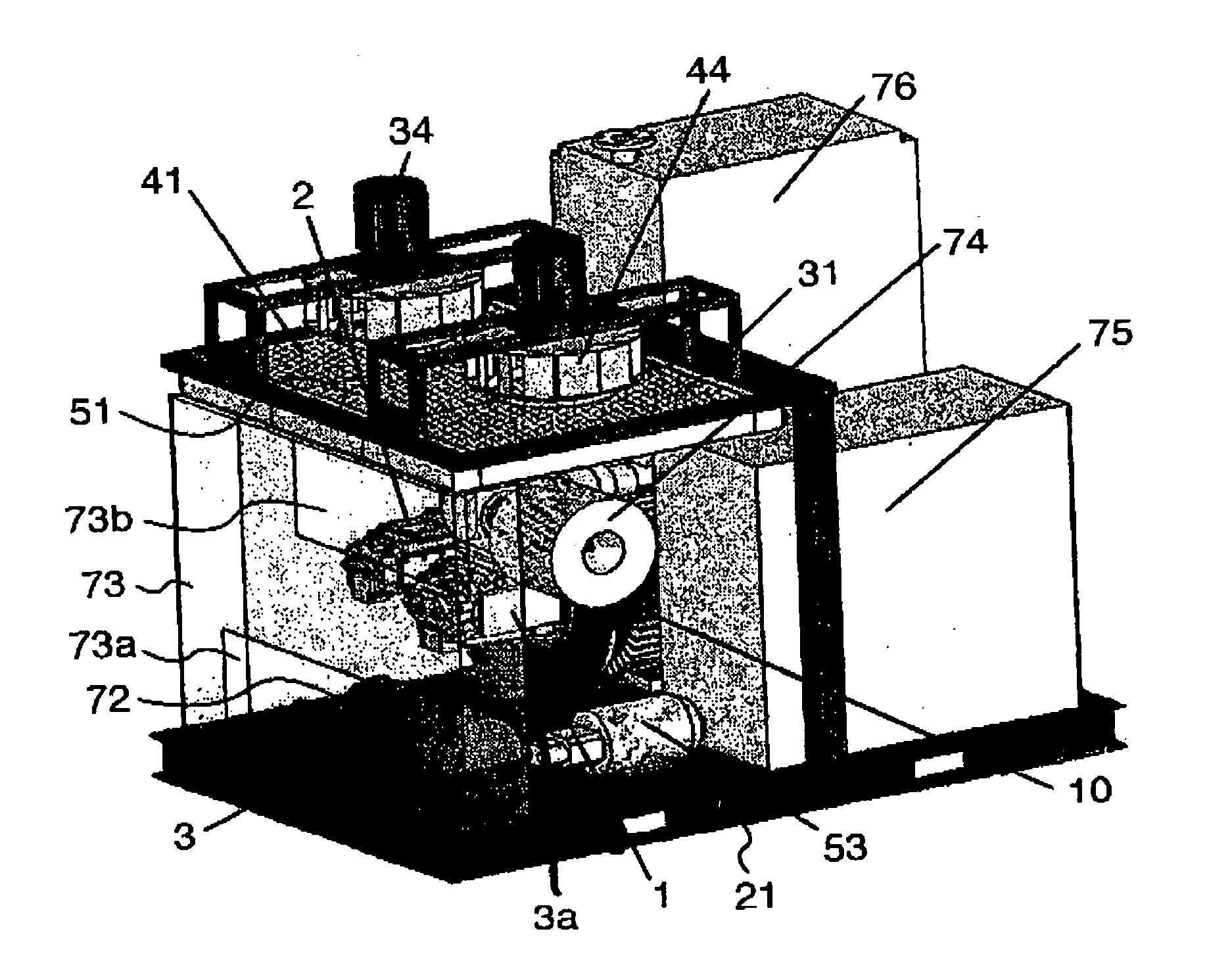 Oil free screw compressor