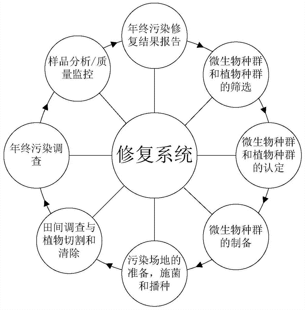 Method for biological remediation of soil with saline-alkali harms and application