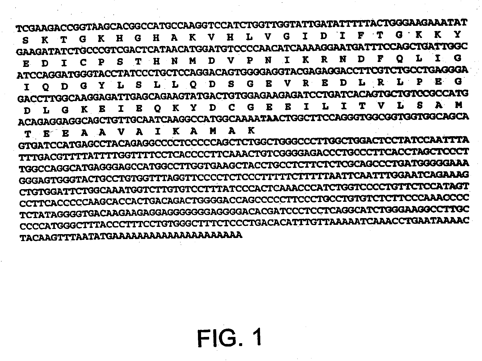 Suppression of eIF5A1 expression to prevent retinal ganglion cell death in the glaucomatous eye