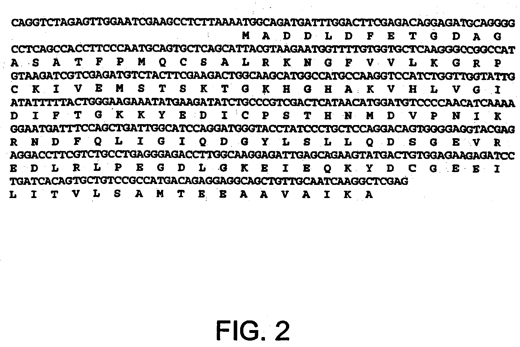 Suppression of eIF5A1 expression to prevent retinal ganglion cell death in the glaucomatous eye