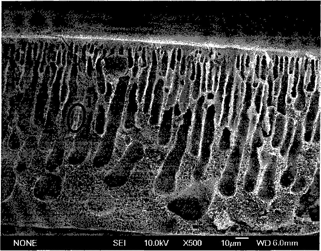 Method for preparing polyaniline and nano-fibre blend composite film