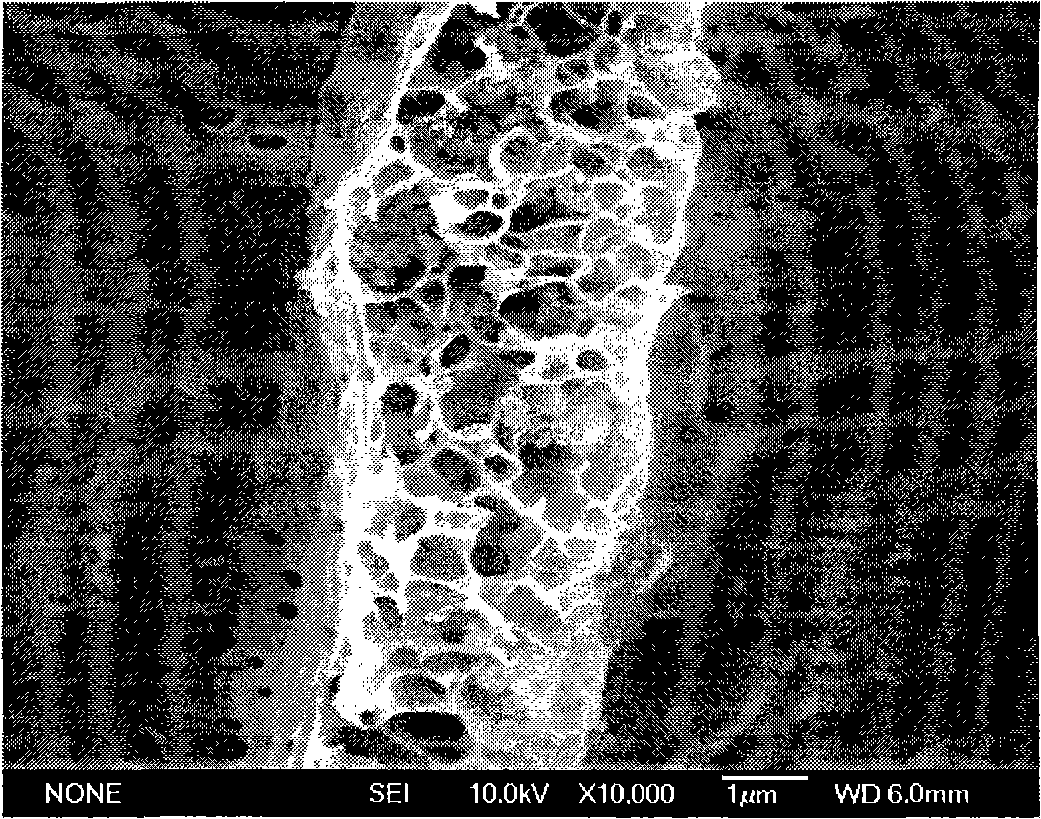 Method for preparing polyaniline and nano-fibre blend composite film