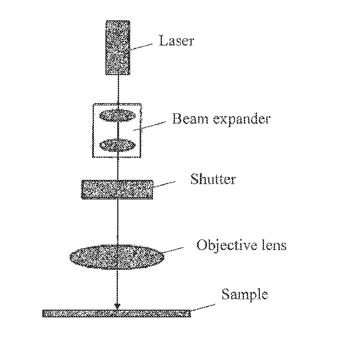 Particulate magnetic recording medium and magnetic recording device