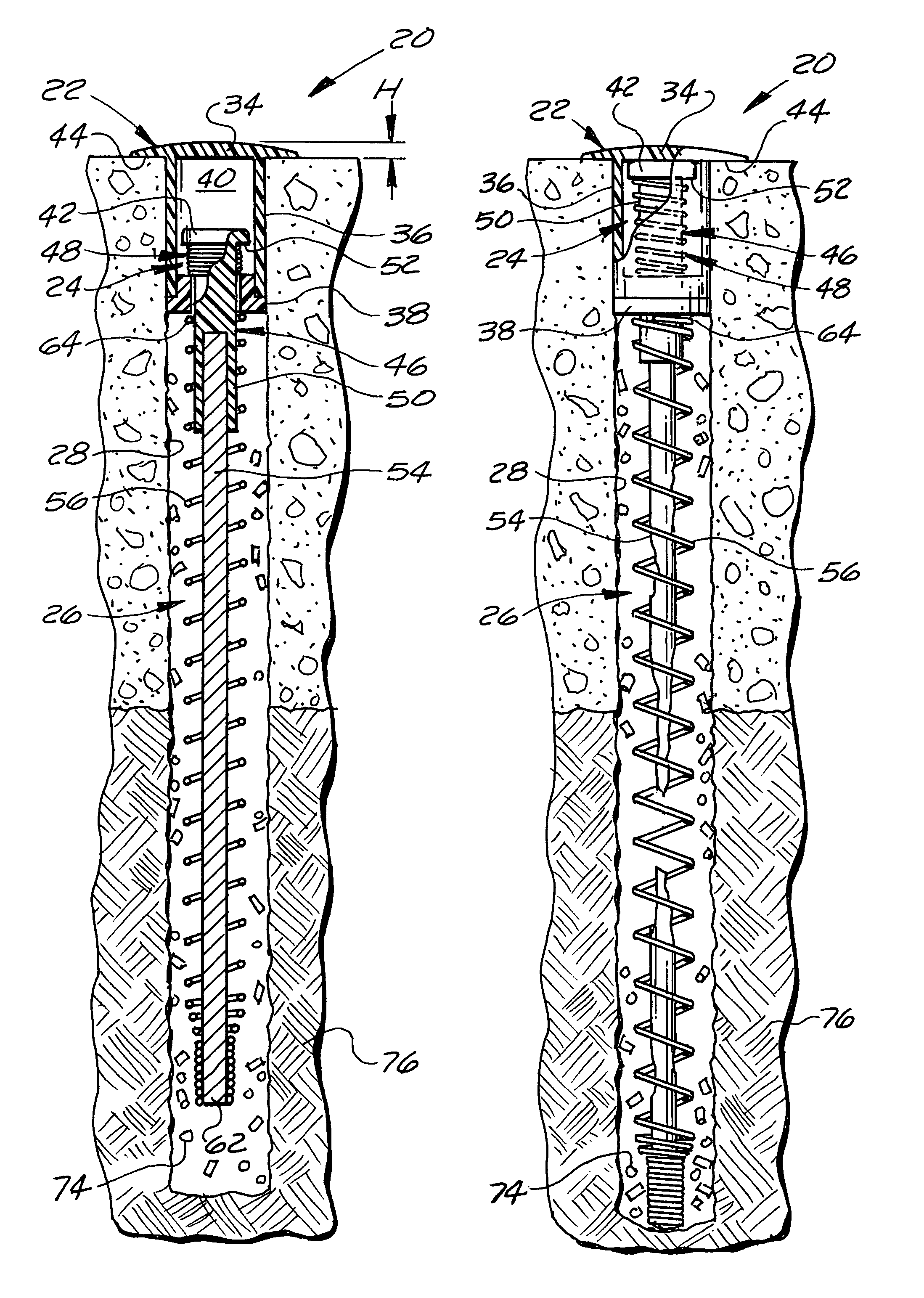 Termite presence monitor and method