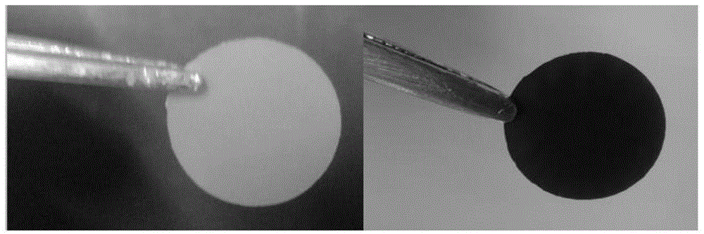 Porous carbon membrane for lithium-sulfur batteries and application of porous carbon membrane