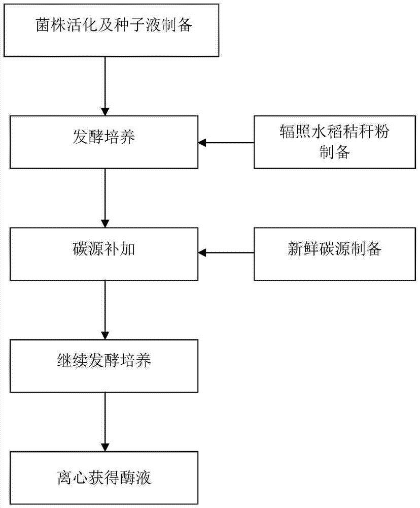 A method for high-yield cellulase utilizing Trichoderma fungus