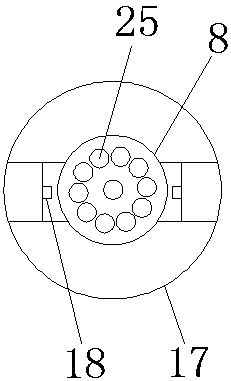 A detection device for pesticide residues in agricultural products