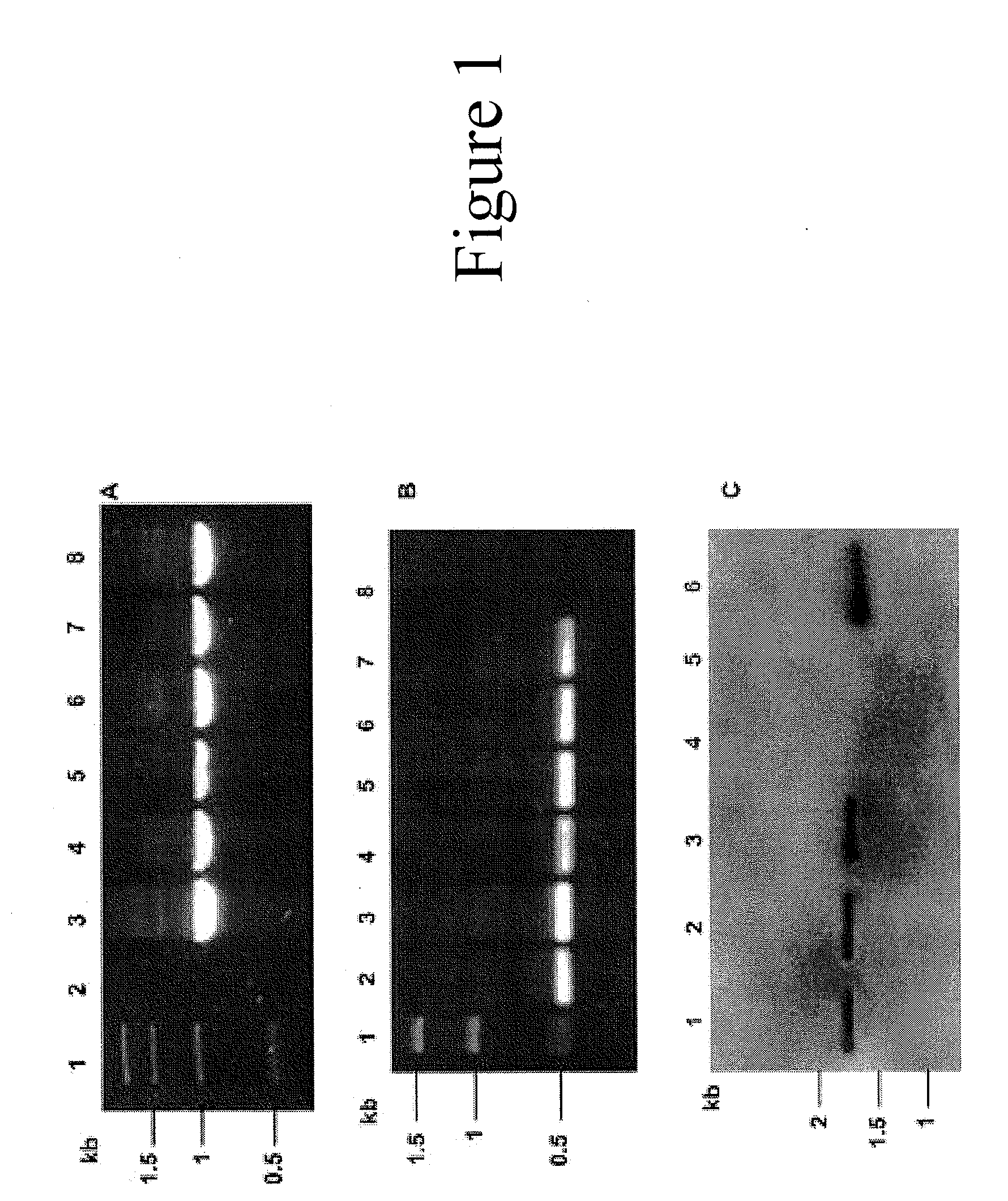 Method and composition for increasing plant survival & viability under cold storage, or dark and cold storage conditions