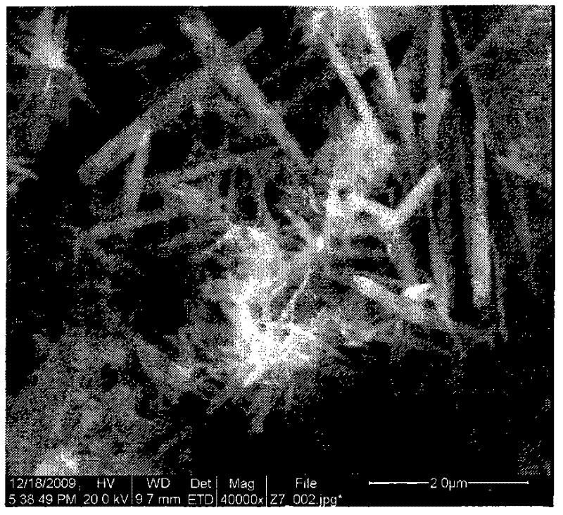 Preparation method for micrometer barium-doped zinc oxide