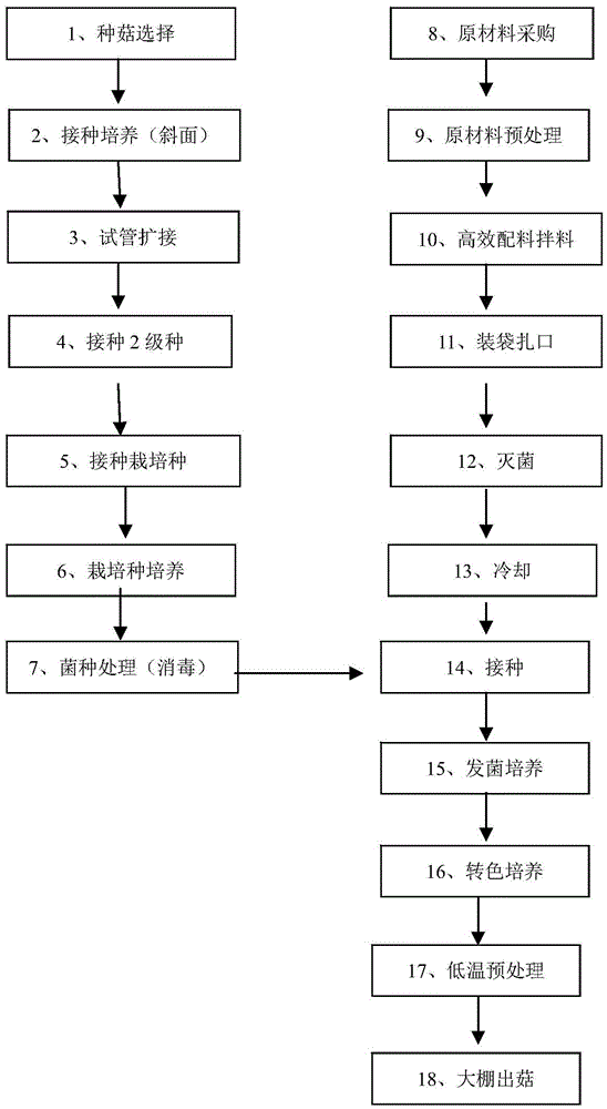 The method of one-time fruiting of bag-grown shiitake mushrooms