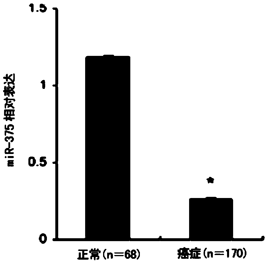 Application of microRNA in preparation of kit for diagnosis of cervical carcinoma or precancerous lesions