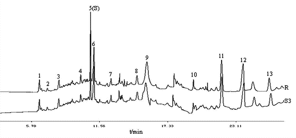 Determination method of fingerprint of Poecilobdella manillensis