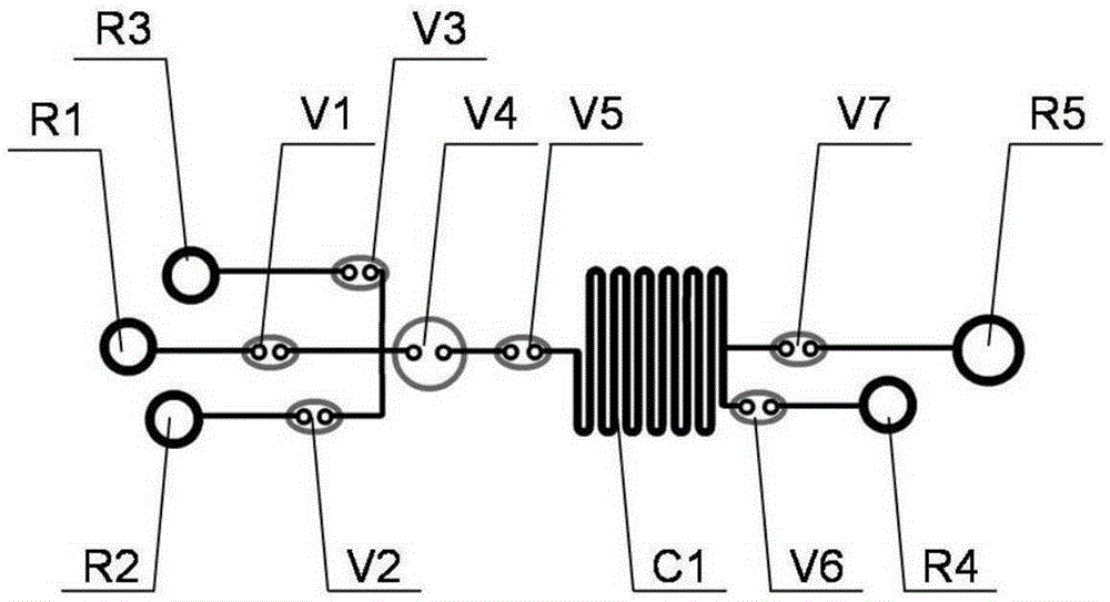 Microfluidic chip, detection system and device used for rapid DNA detection