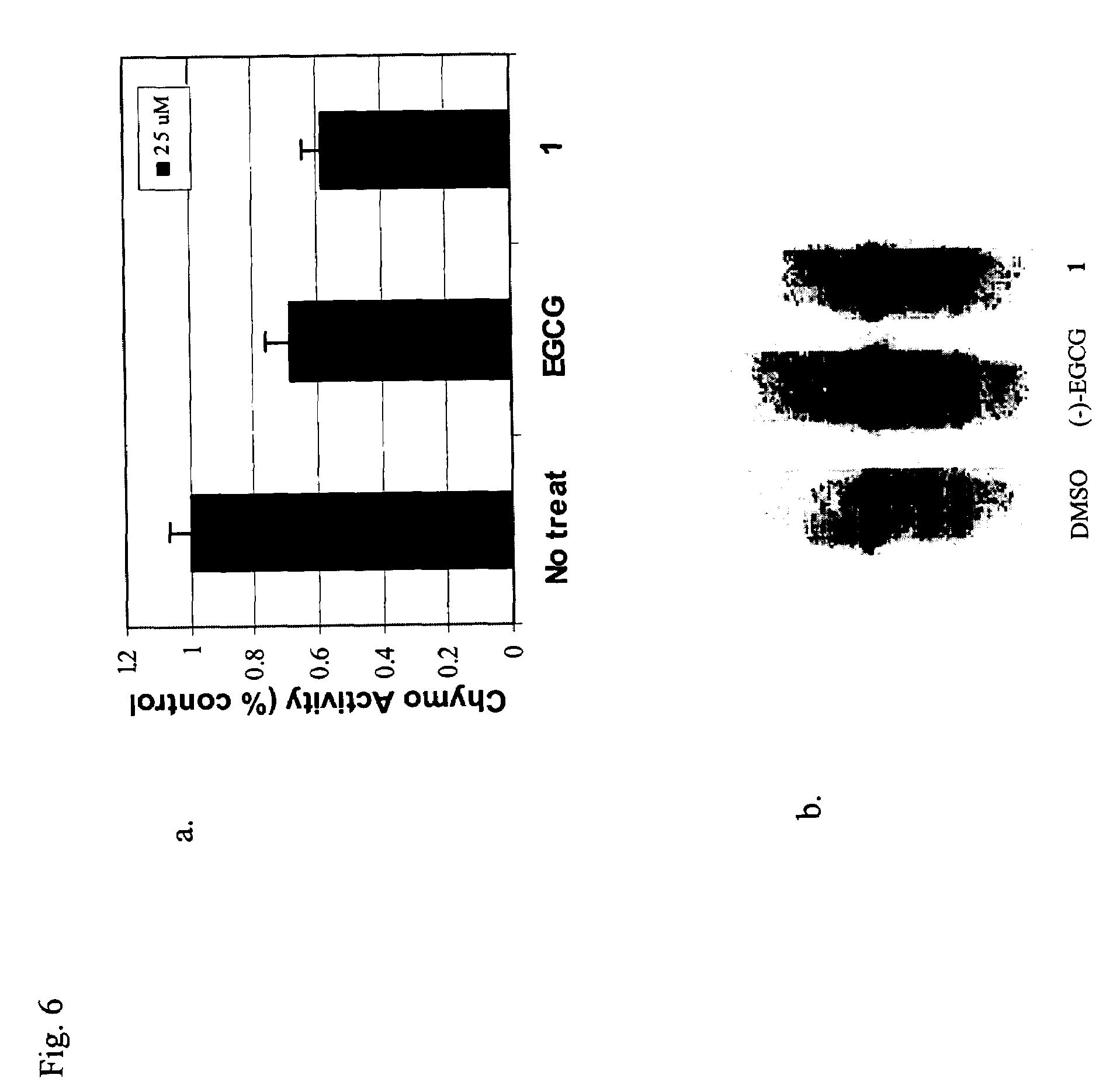 (-)-Epigallocatechin gallate derivatives for inhibiting proteasome