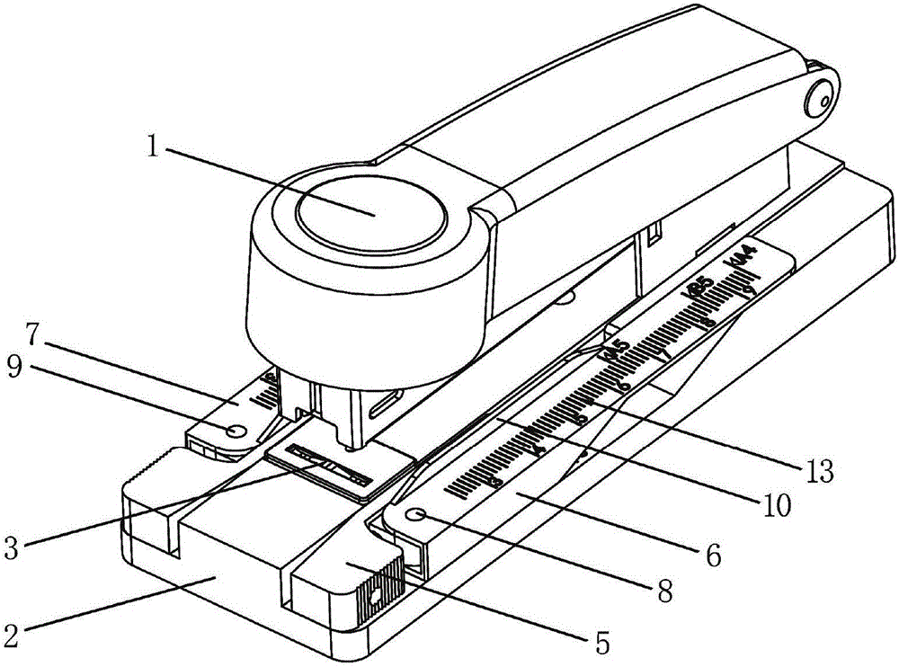 Stapler with stapling ruler