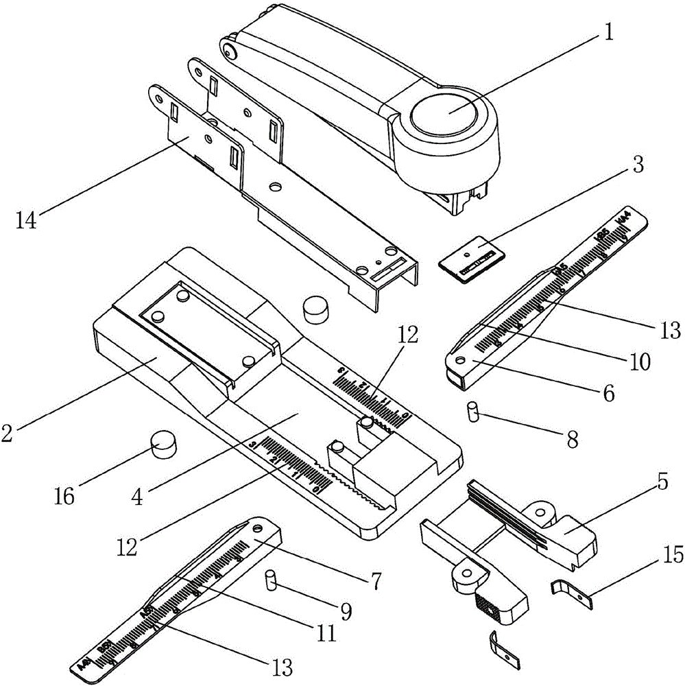 Stapler with stapling ruler