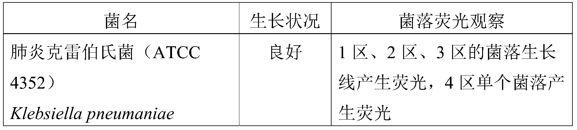 Culture medium for identifying gram-negative and positive bacteria and use method