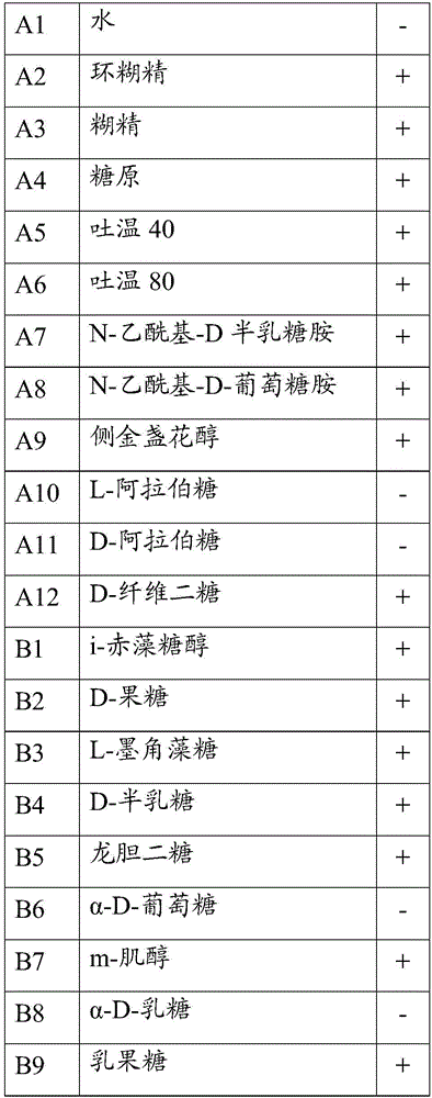 Serratia marcescens and preparation method and application thereof