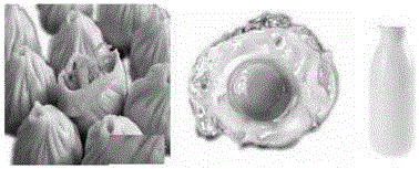 Rapid food recognition method based on Markov random field