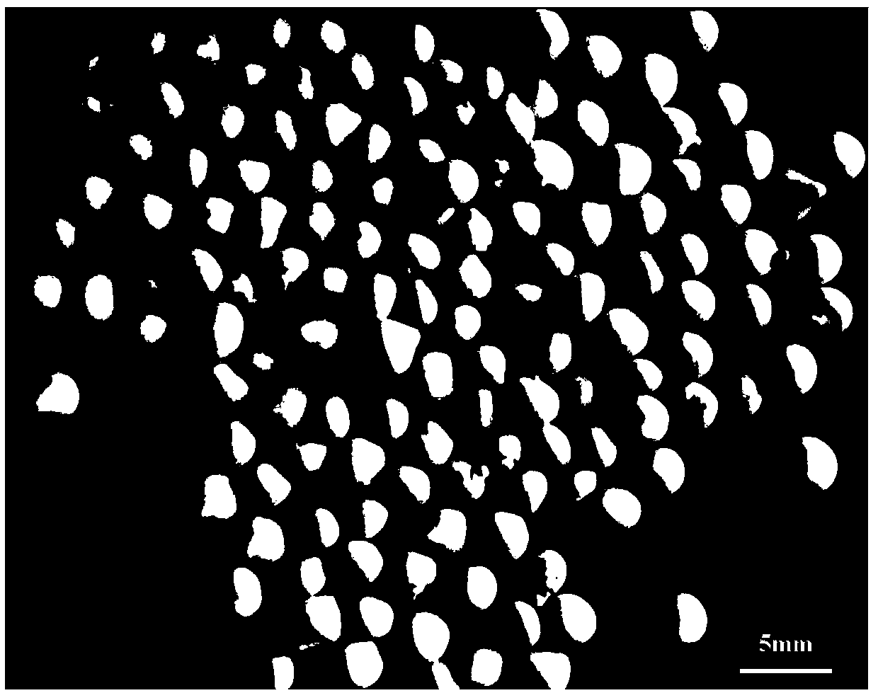 Preparation method for polymer matrix micron/nanometer packing filling modification compound premix particles