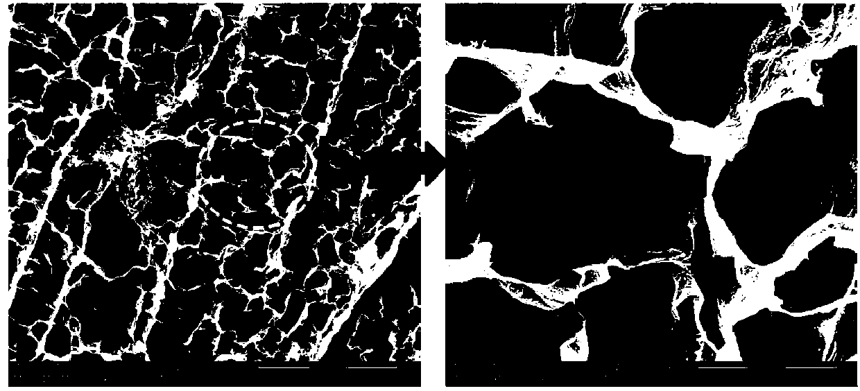 High-fluoride-content graphite fluoride and preparation method thereof