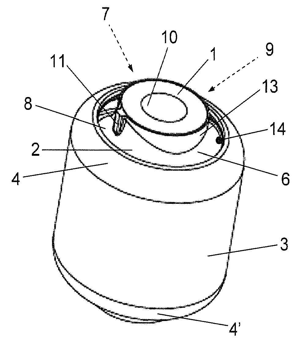 Bush bearing with bearing body having an axial profile