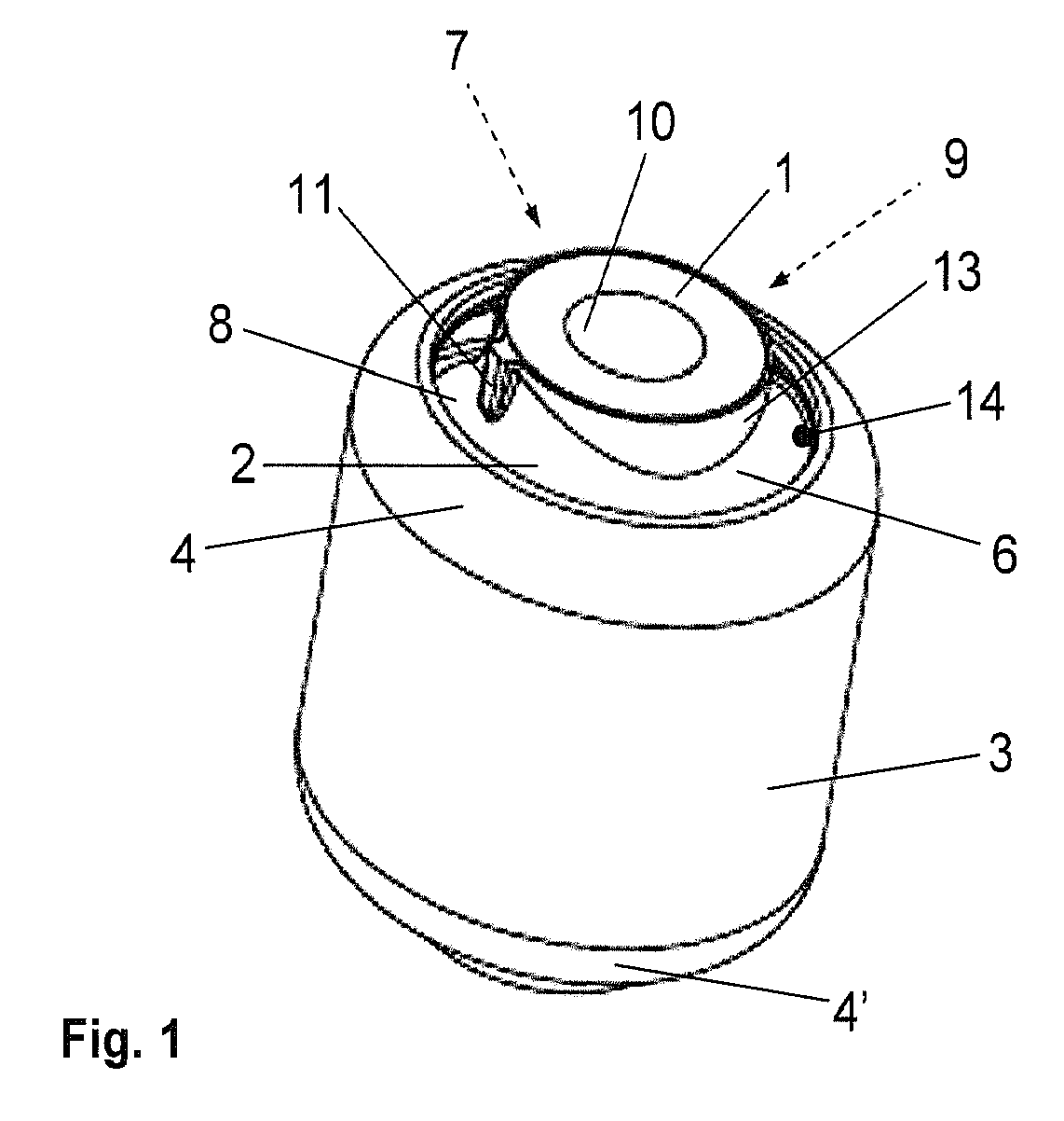 Bush bearing with bearing body having an axial profile