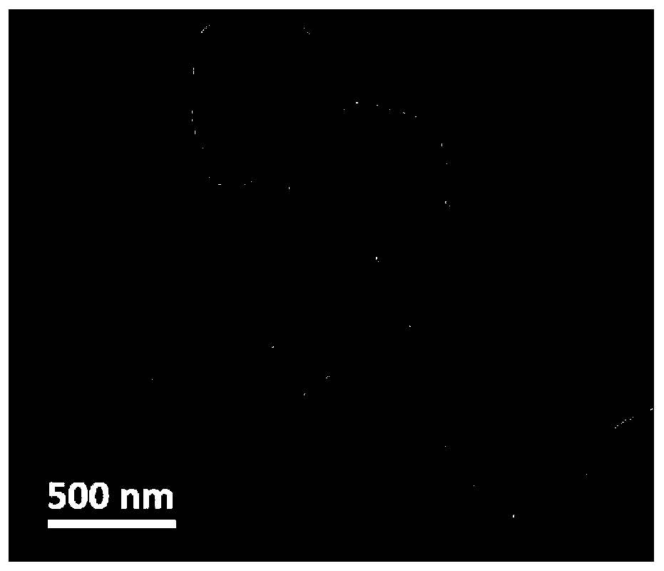 Titanium dioxide nano-cluster@carbon sphere multistage composite structure material as well as preparation method and application thereof