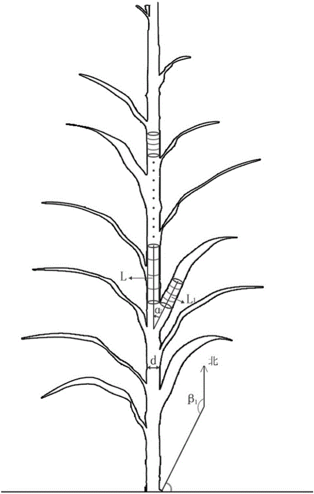 Stereophotogrammetric survey-based method for obtaining morphological parameters of maize plant