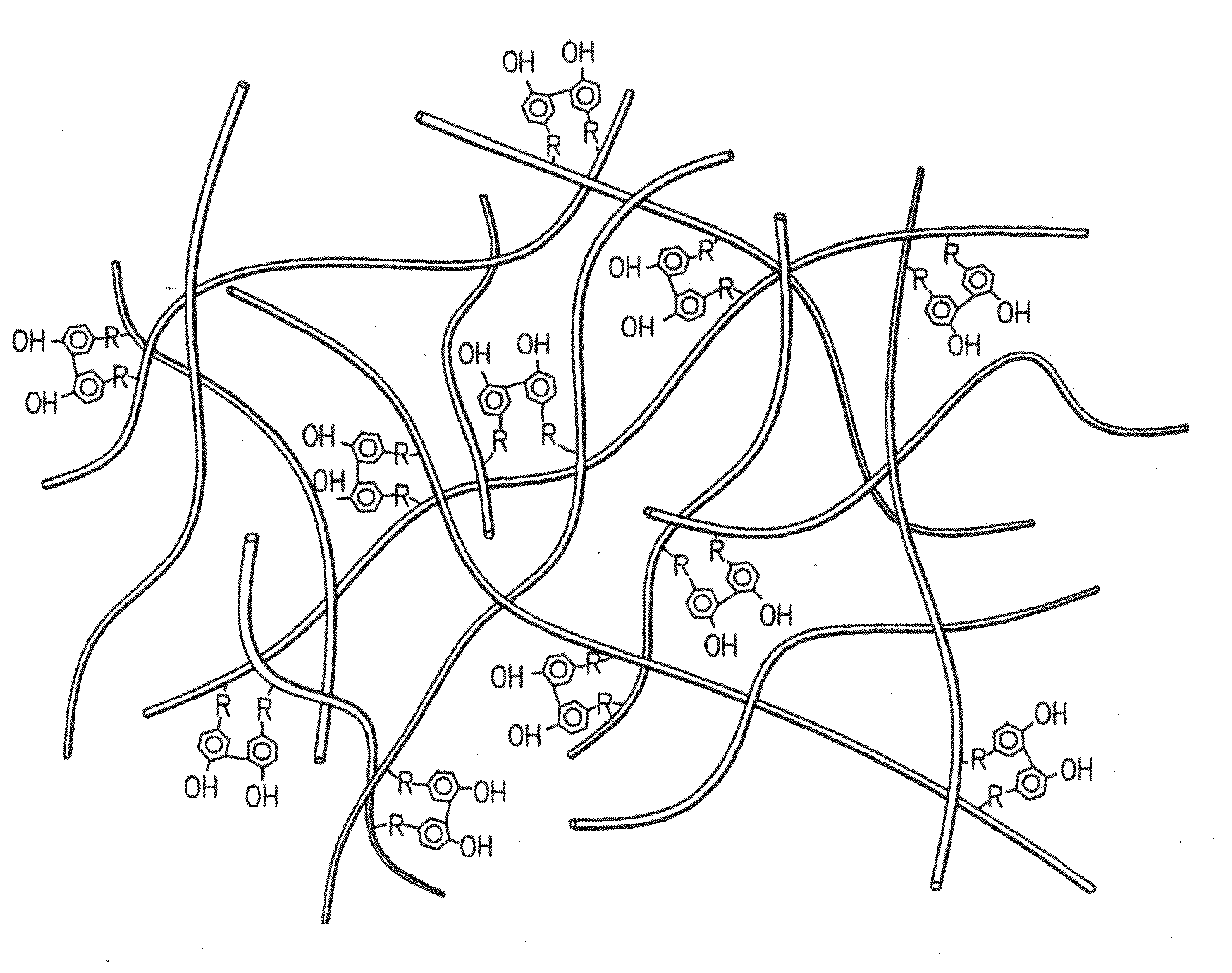 Hydroxyphenyl cross-linked macromolecular network and applications thereof