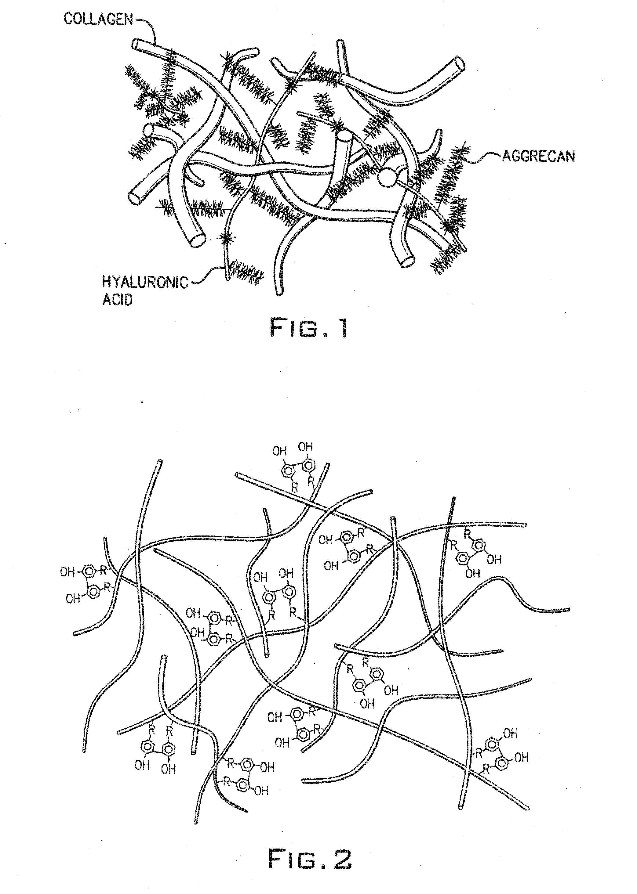 Hydroxyphenyl cross-linked macromolecular network and applications thereof