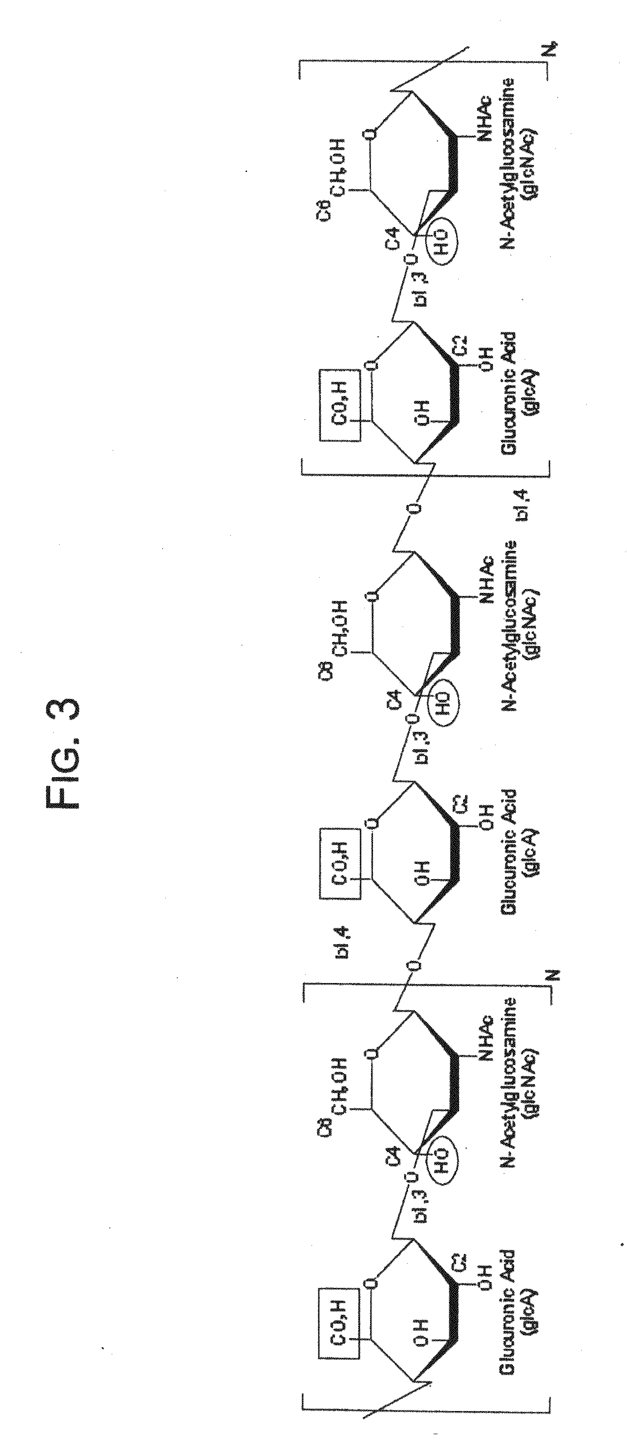 Hydroxyphenyl cross-linked macromolecular network and applications thereof