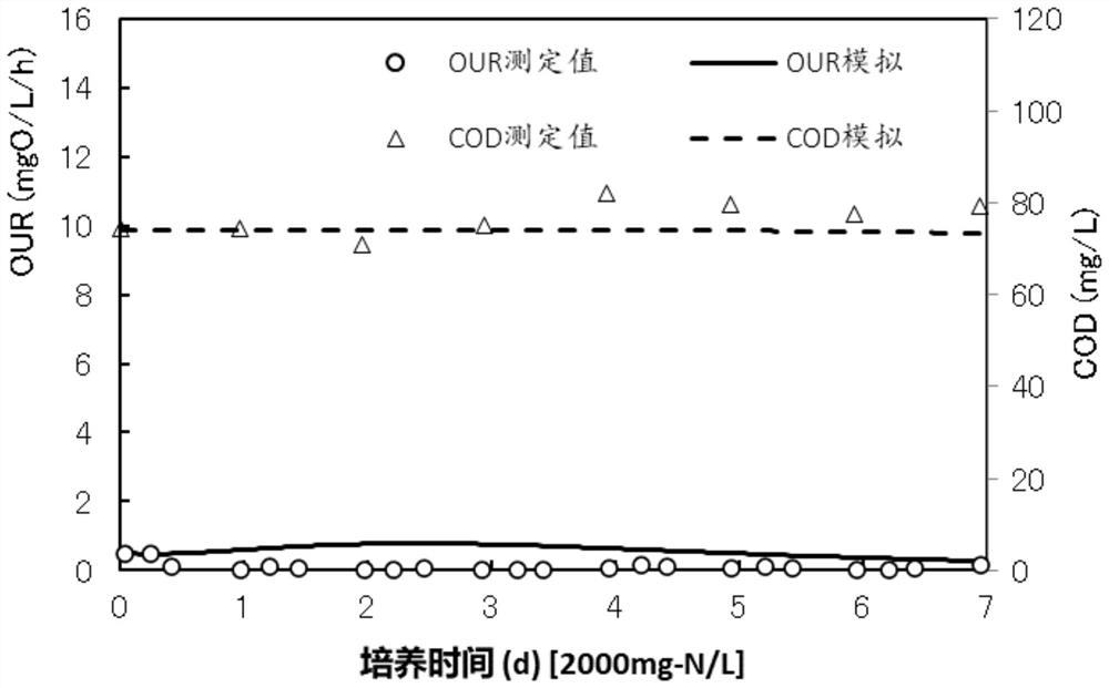 Construction method and application of two-step decay model of nitrite oxidizing bacteria