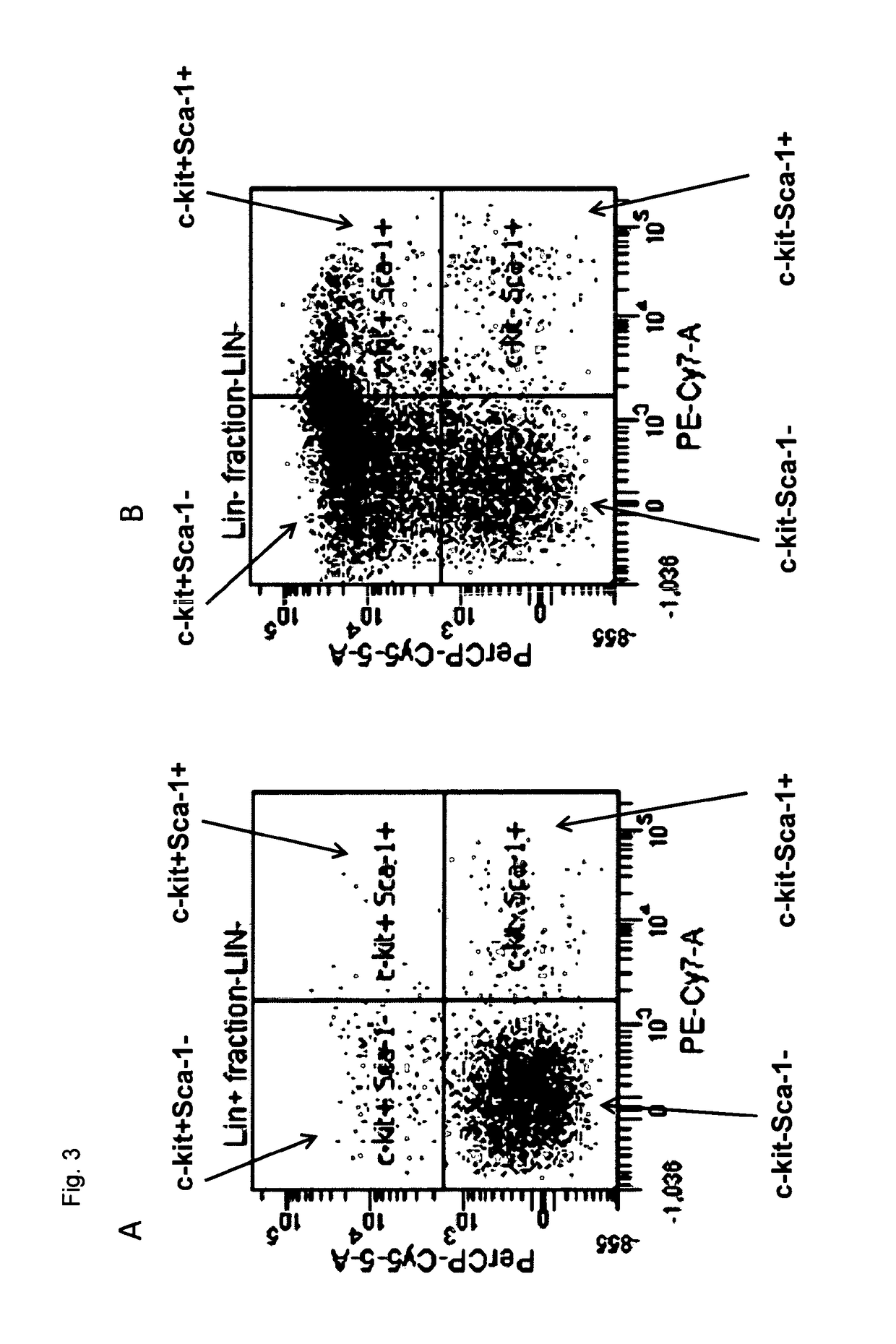 Method for enhancing engraftment of haematopoetic stem cells