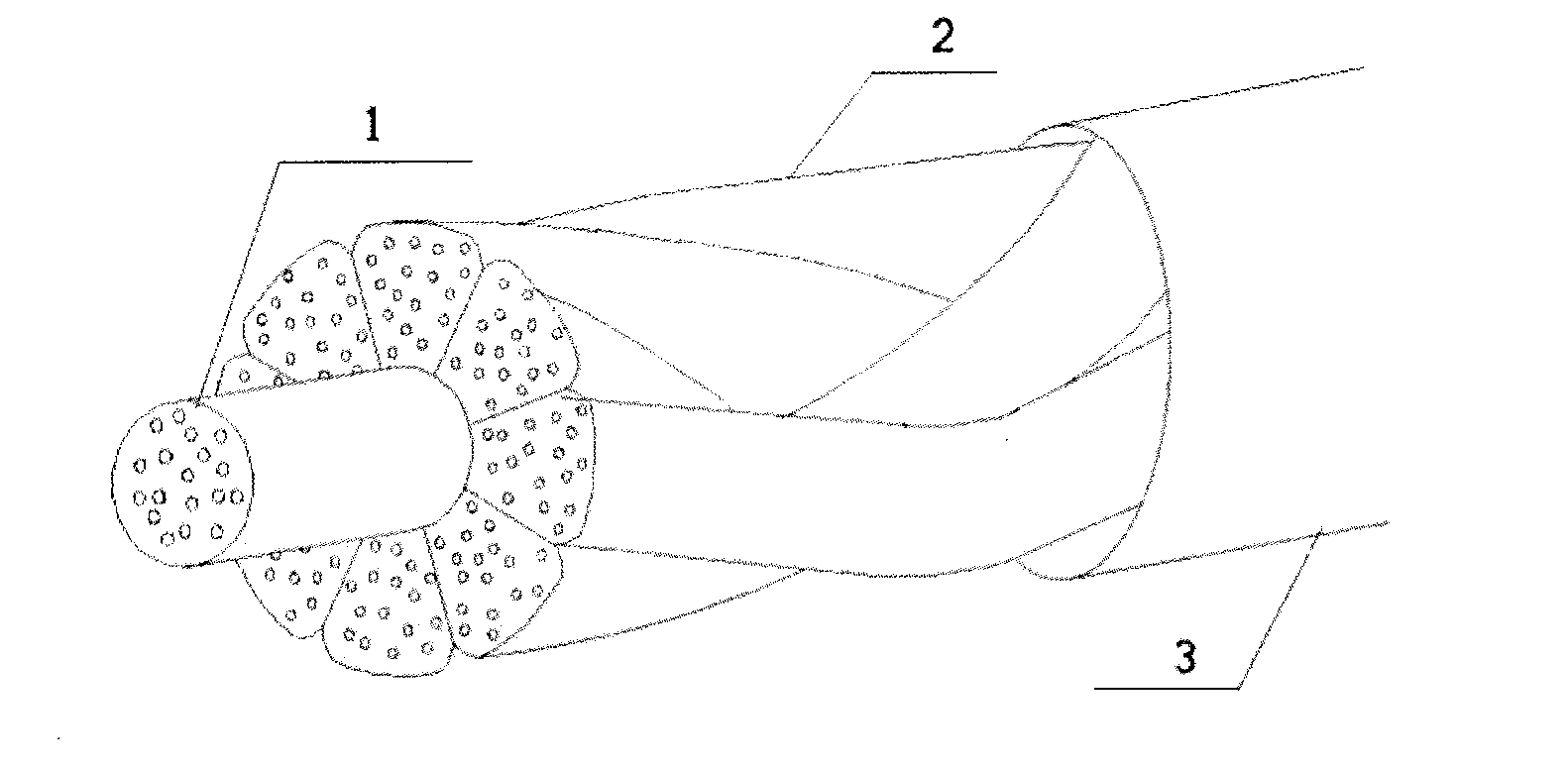 Device and method for preparing sustainable-released antibacterial real-silk braided suture line