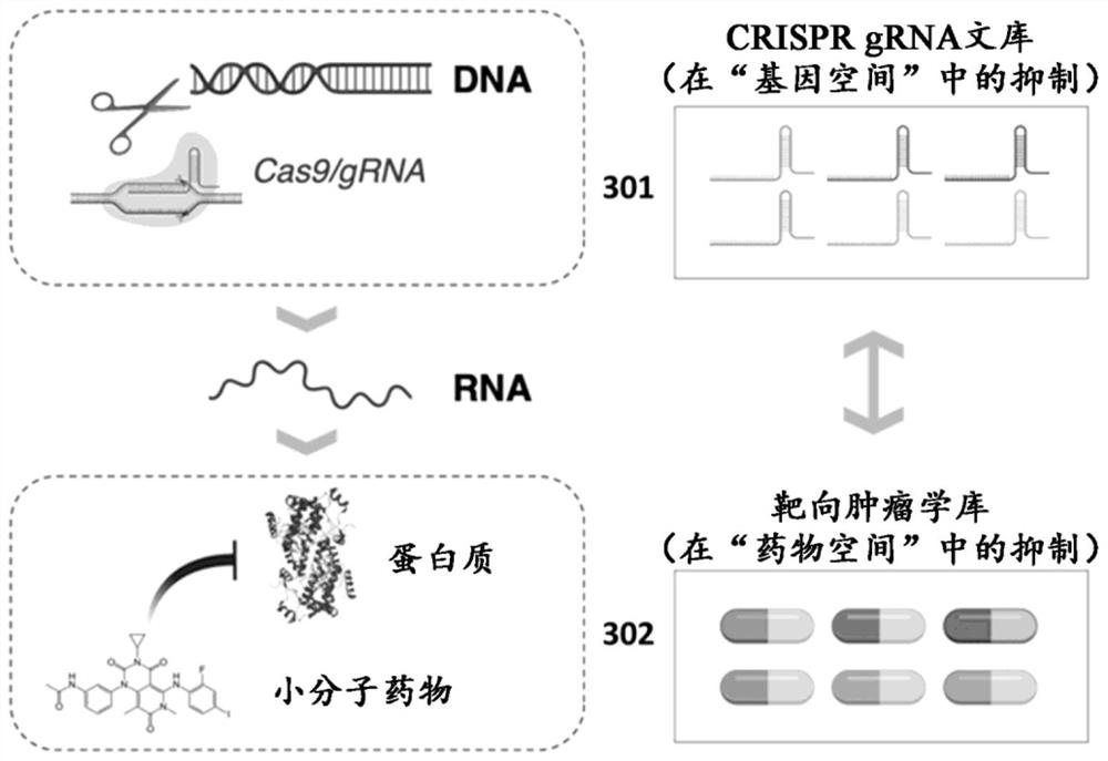 Genetic pharmacopoeia for comprehensive functional analysis of human cancer