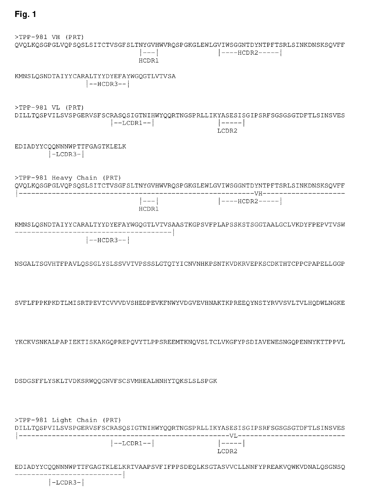 Antibody drug conjugates (ADCS) having enzymatically cleavable groups