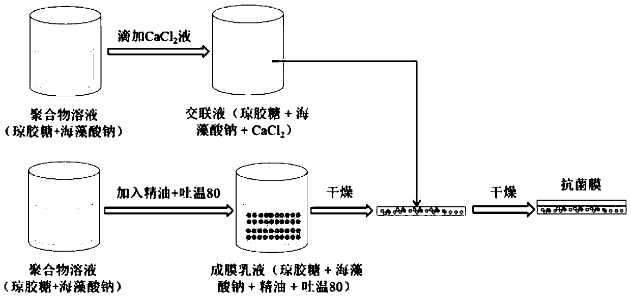 Composite algal polysaccharide-based double-layer packaging film as well as preparation method and application thereof