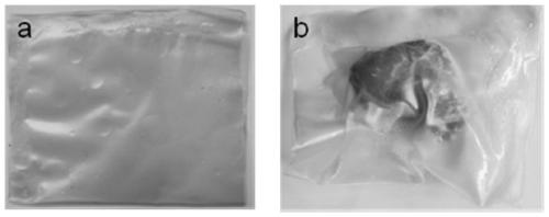 Composite algal polysaccharide-based double-layer packaging film as well as preparation method and application thereof