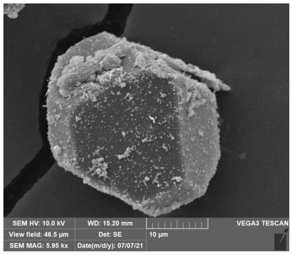 Method for preparing nano-palladium catalyst by using protein assembly