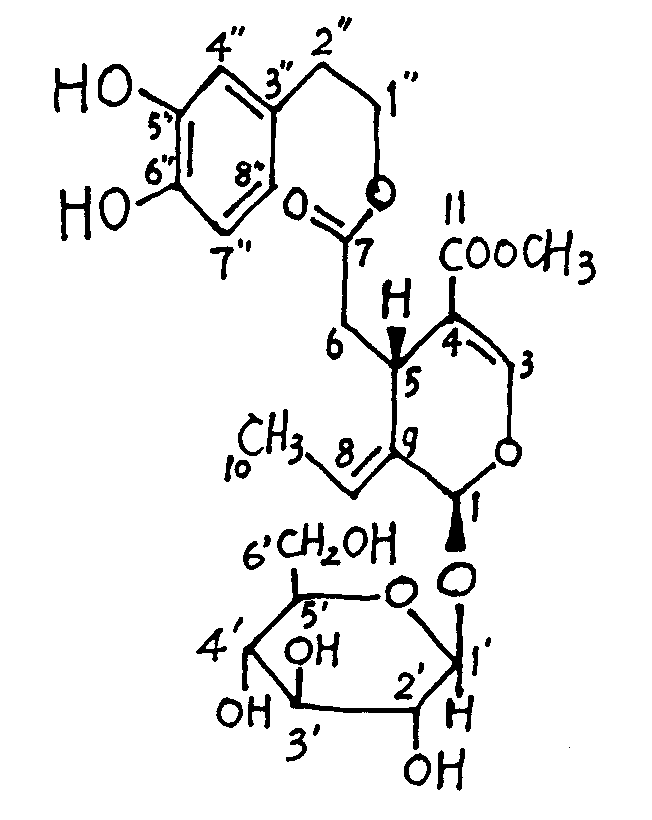 Method for synthesizing secoiridoid glycosides compound